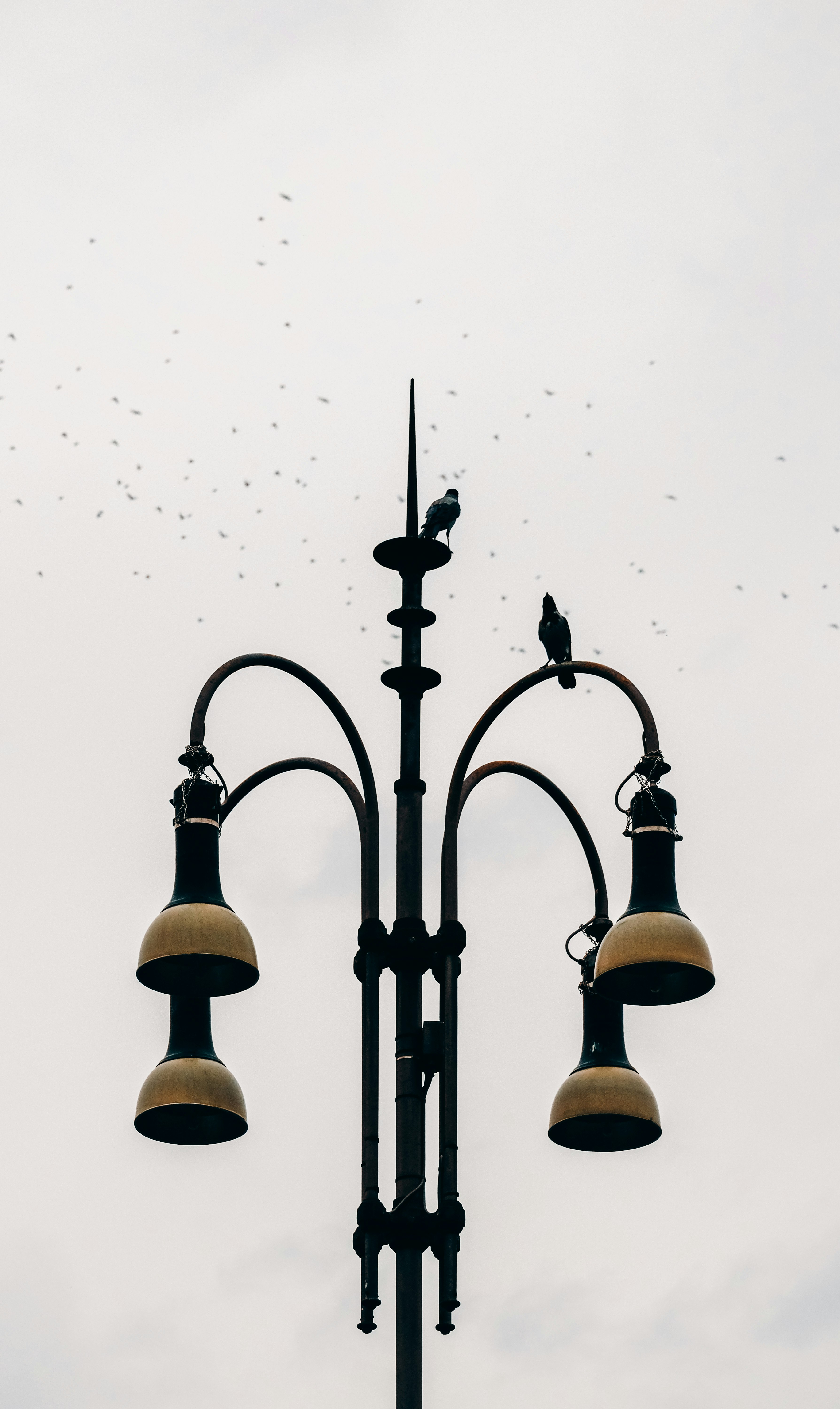 black framed metal stand lamp during daytime